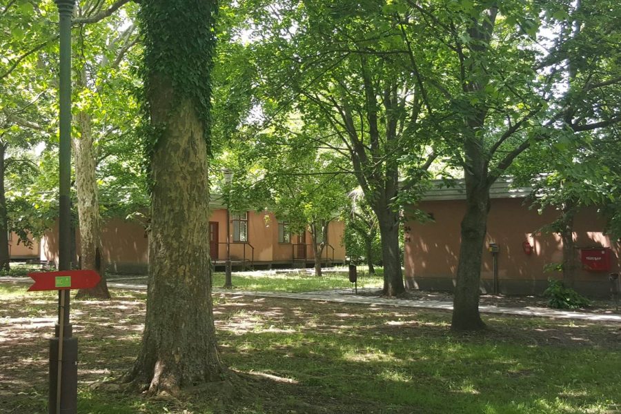 1306-os Üdülőfalu és Kemping Csopak