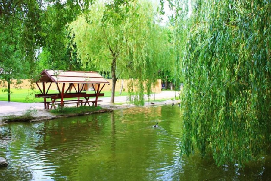 8946-os Lovastanya Jánoshalma