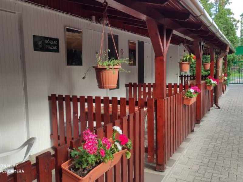 IMG_20200823_164919-v2.0-800x600-1