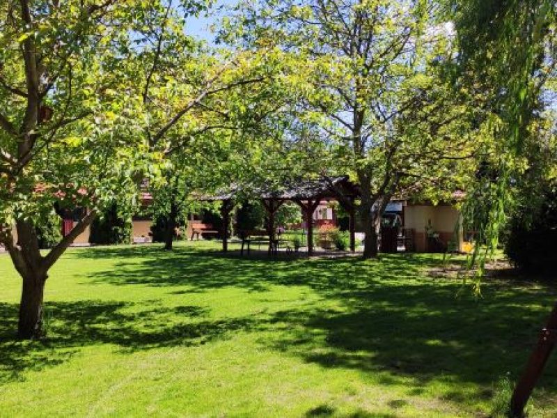 IMG_20210521_122033-v2.0-800x600-3