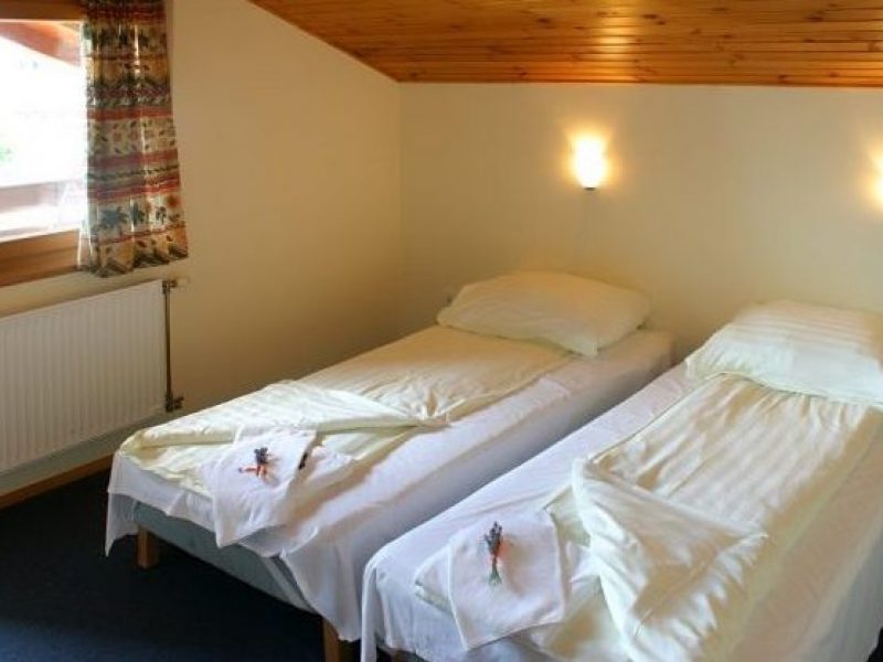 vge10n-e1484139647493-800x600-1