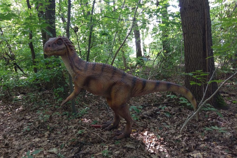 Gyulai Dinó Élménypark – Dinoszaurusz tanösvény mozgó, hangot adó dinókkal