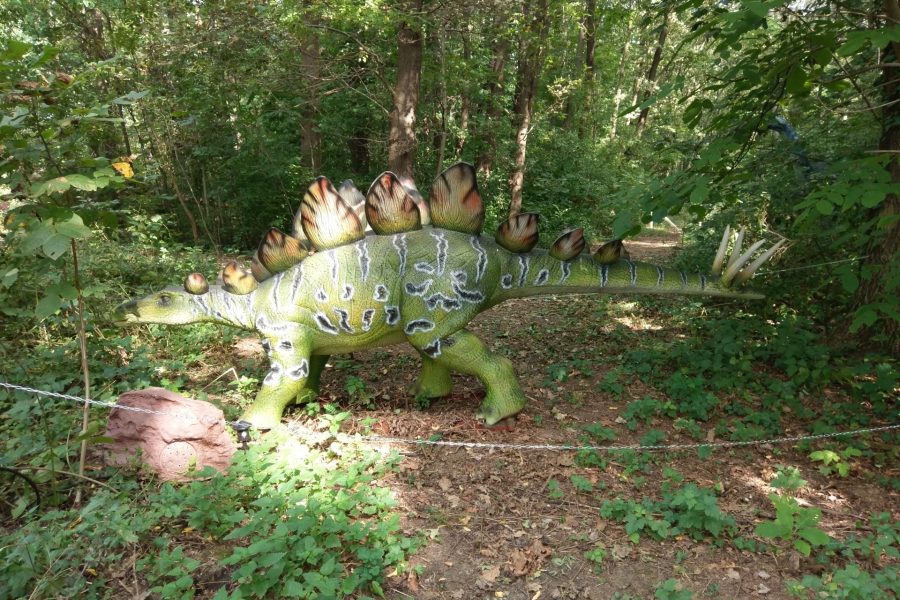Pécsi Dinó Élménypark – Dinoszaurusz tanösvény mozgó, hangot adó dinókkal