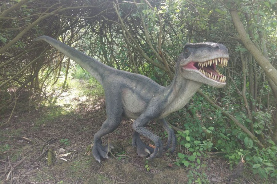 Kereki Dinó Élménypark – Dinoszaurusz tanösvény mozgó, hangot adó dinókkal