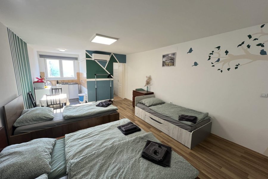 1655-ös Apartman Budapest